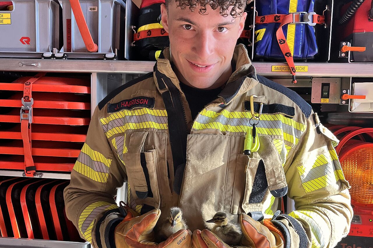 Feuerwehr Dormagen rettete Entenküken